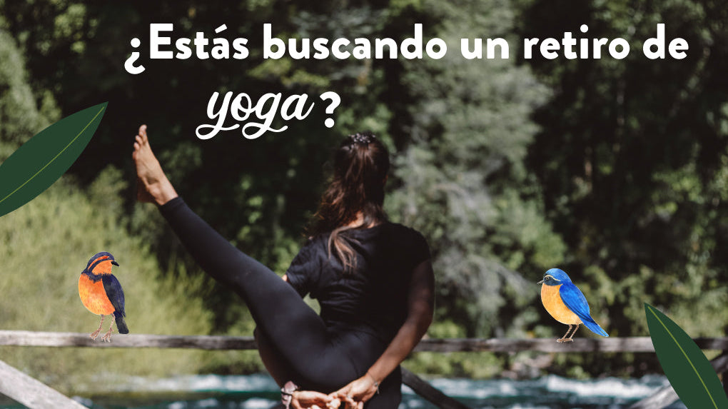 Mujer en un retiro de yoga haciendo una asana en medio de la naturaleza.